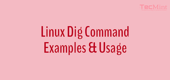 10 Linux Dig (Domain Maklumat Groper) Perintah untuk pertanyaan DNS