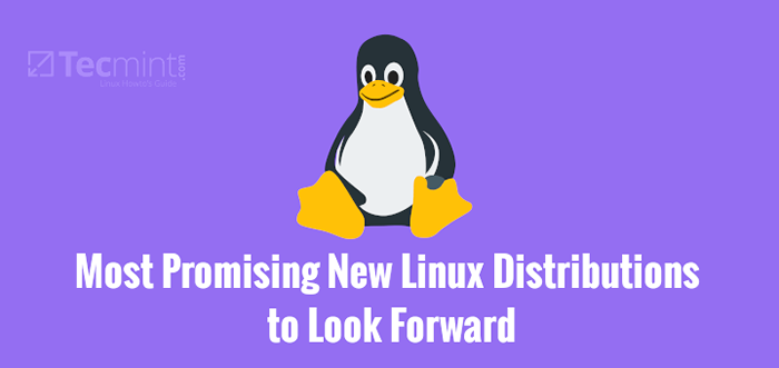 10 Pengagihan Linux Baru Yang Paling Menjanjikan untuk Menantikan pada tahun 2020