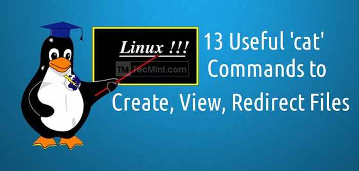 13 Exemples de commande Cat de base dans Linux