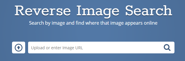 2 narzędzia do wykonywania odwrotnych wyszukiwania obrazów online