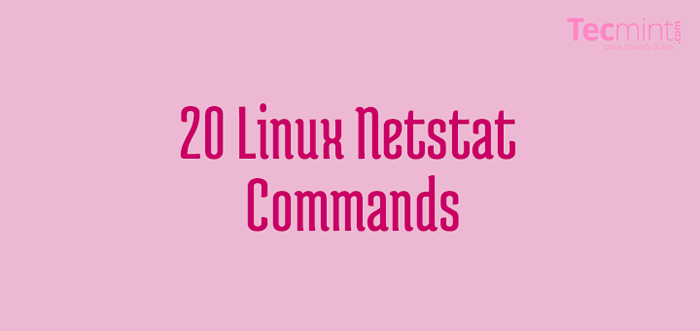 20 comandos NetStat para Linux Network Management