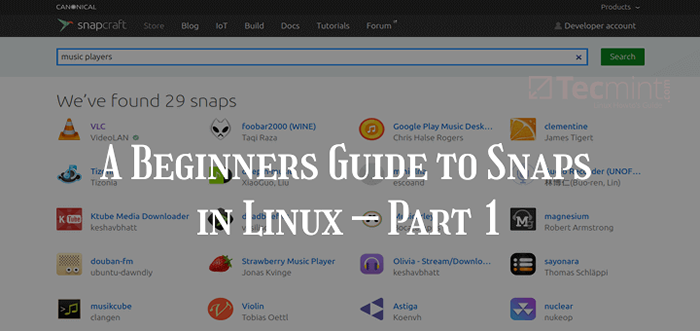 Um guia para iniciantes para Snaps in Linux - Parte 1