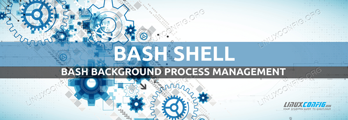 Gerenciamento de processos de fundo bash