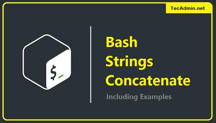 Bash Conatenate Strings