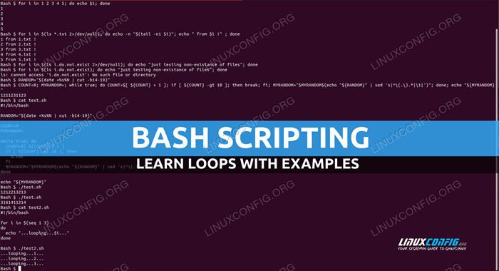 Bash Loops com exemplos