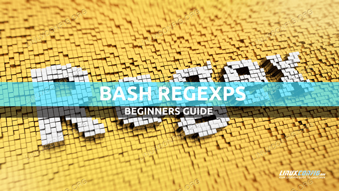 Bash Regexps untuk pemula dengan contoh