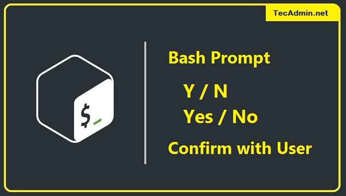 Script bash indicación para confirmar (sí/no/calcule)