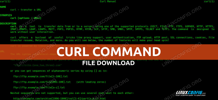 Download de arquivos Curl no Linux