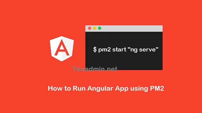 Implantar um aplicativo angular com pm2