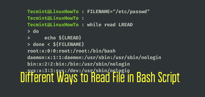 Maneiras diferentes de ler o arquivo em scripts bash usando o loop while