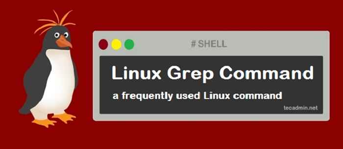 Comando Grep no Linux (pesquisa de texto em arquivos)