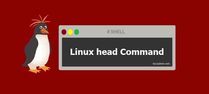 Comando de cabeza en Linux con ejemplos