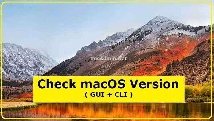 So überprüfen Sie die MacOS -Version (GUI+CLI)