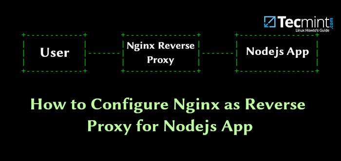So konfigurieren Sie Nginx als Reverse -Proxy für die NodeJS -App