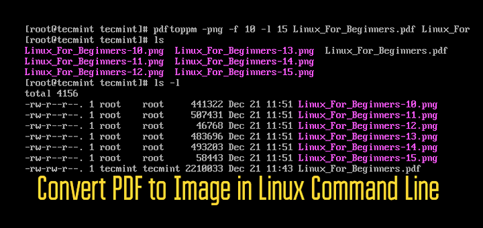 So konvertieren Sie PDF in die Befehlszeile in Linux in ein Bild in das Bild