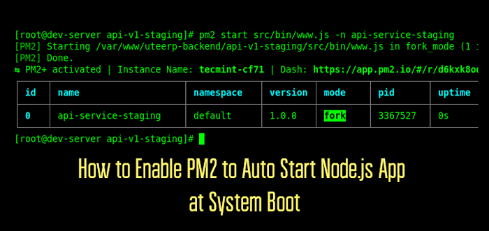 Cómo habilitar PM2 al nodo de inicio automático.aplicación js en el arranque del sistema