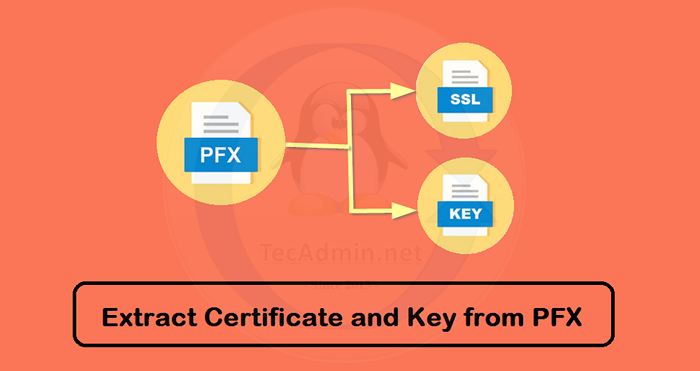 So extrahieren Sie Zertifikat und privater Schlüssel aus der PFX -Datei