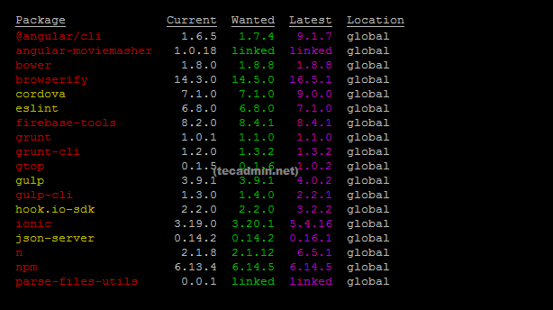 Cómo encontrar la versión del paquete NPM instalada