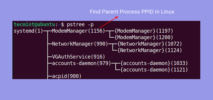 Cómo encontrar el proceso principal PPID en Linux