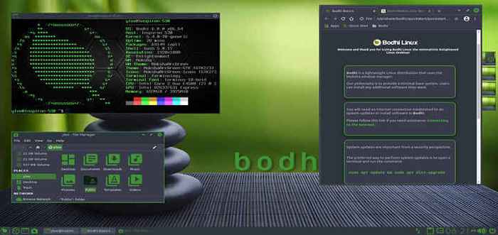 Como instalar uma distro leve Bodhi Linux