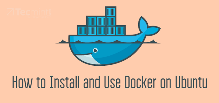 Cara Memasang dan Menggunakan Docker di Ubuntu 20.04