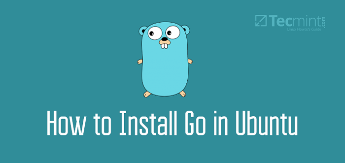 Comment installer aller dans Ubuntu 20.04