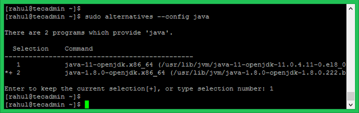 Cómo instalar Java 11/8 en Fedora
