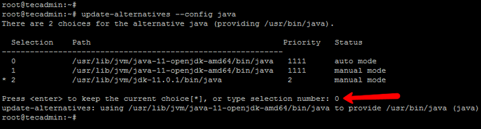 So installieren Sie Java auf Debian 10 (Buster)