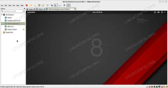 Como instalar o RHEL 8 no VMware Workstation