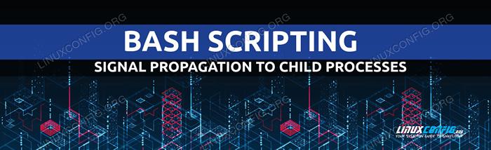 Comment propager un signal aux processus enfants à partir d'un script bash