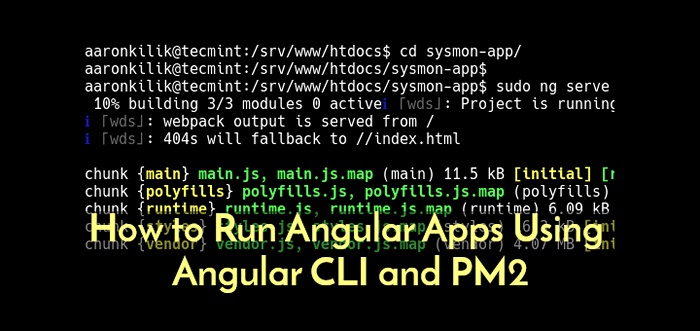 Como executar aplicativos angulares usando CLI angular e PM2