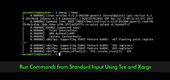 Cara menjalankan perintah dari input standar menggunakan tee dan xargs di linux
