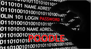 Cómo asegurar la vulnerabilidad de Poodle SSLV3 (CVE-2014-3566)