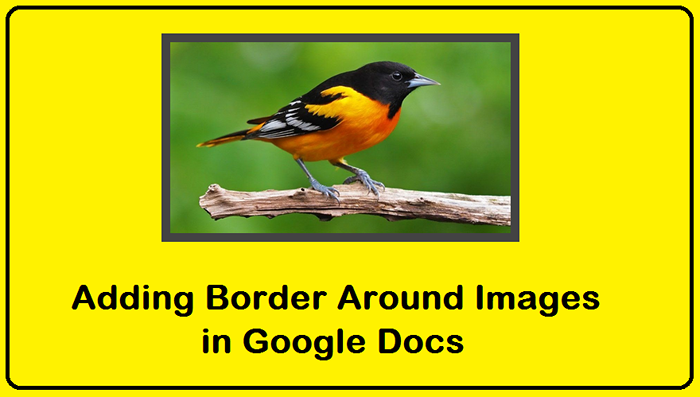 Comment définir la bordure des images dans Google Docs