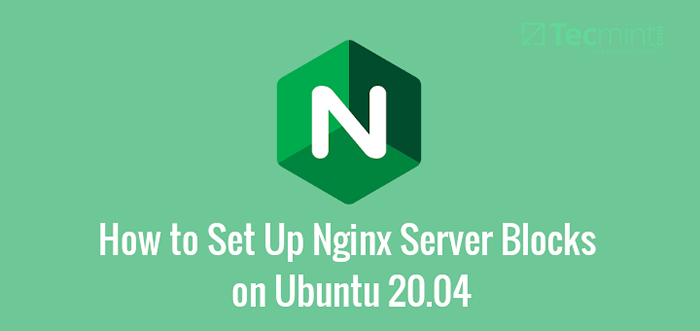 Cara mengatur blok server nginx (host virtual) di ubuntu 20.04