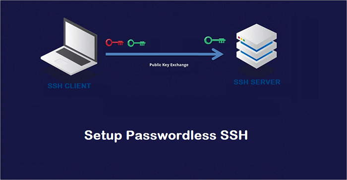 So richten Sie eine passwortlose SSH -Login unter Linux ein