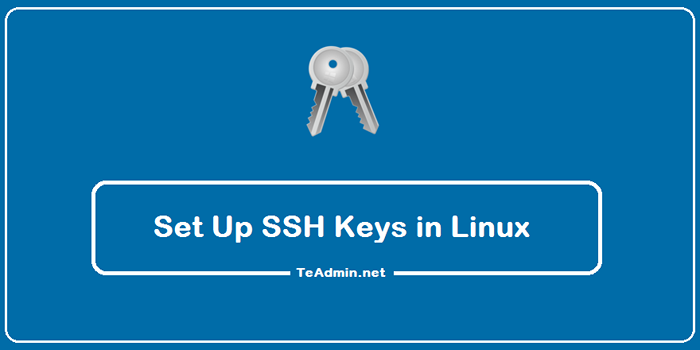 So richten Sie SSH -Tasten unter Linux ein