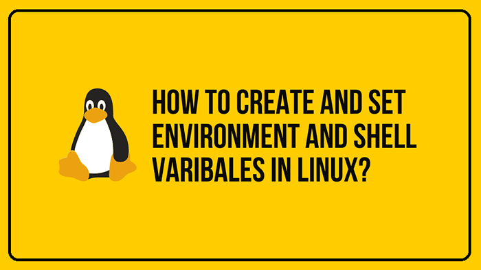 So setzen/Erstellen von Umgebungsvariablen und Shell -Variablen unter Linux