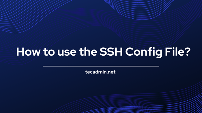 Como usar o arquivo de configuração SSH