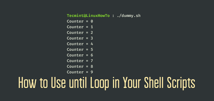 Como usar até o loop em seus scripts de shell