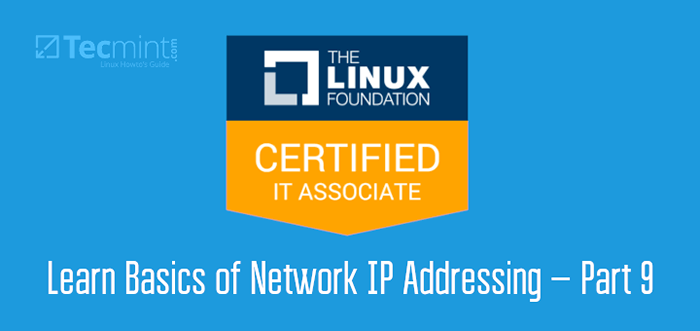 LFCA Lernen Sie Grundlagen der Netzwerk -IP -Adressierung - Teil 9