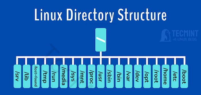 Struktur direktori Linux dan jalur file penting dijelaskan