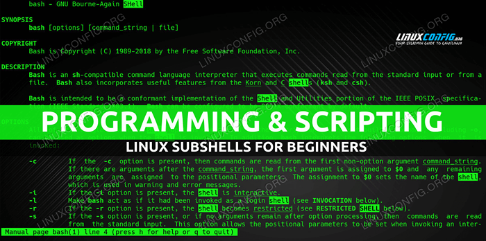 Subshells Linux para iniciantes com exemplos