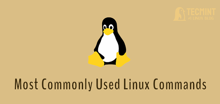 Comandos de Linux más utilizados que debe saber