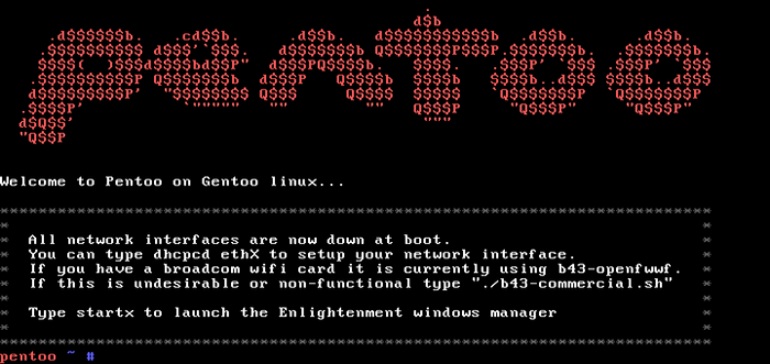Pentoo - Eine auf sich auf Sicherheitsfirmen gerichtete Linux -Distribution basiert auf Gentoo