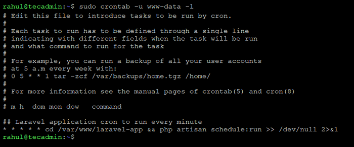 Ejecutar un usuario de CRONTAB como usuario www-data en Linux