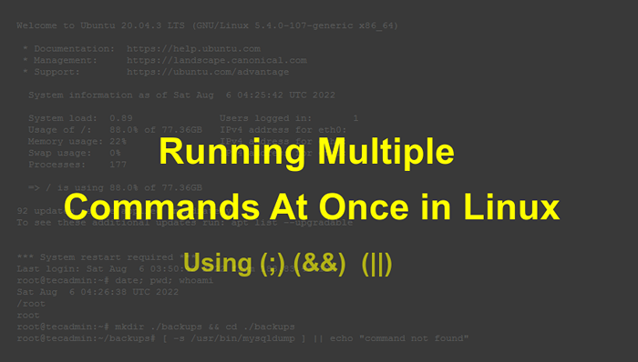 Ejecutando múltiples comandos a la vez en Linux