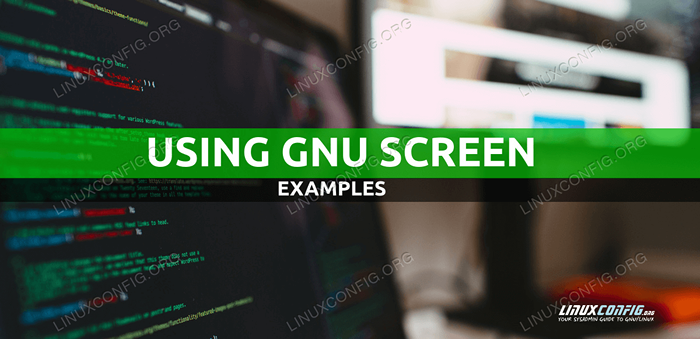 Verwenden des GNU -Bildschirms mit Beispielen