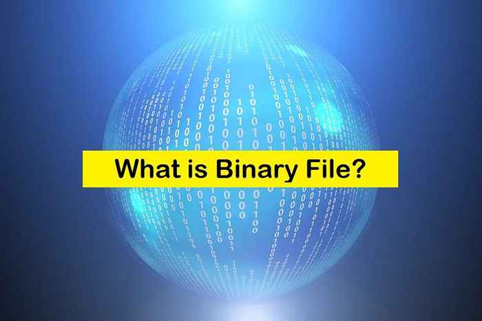 Qu'est-ce qu'un fichier binaire?