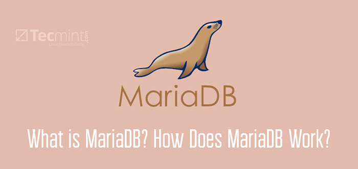 Qu'est-ce que Mariadb? Comment fonctionne mariaDB?